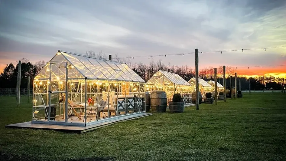 4 Reasons to Make Reservations at Hamptons Wineries