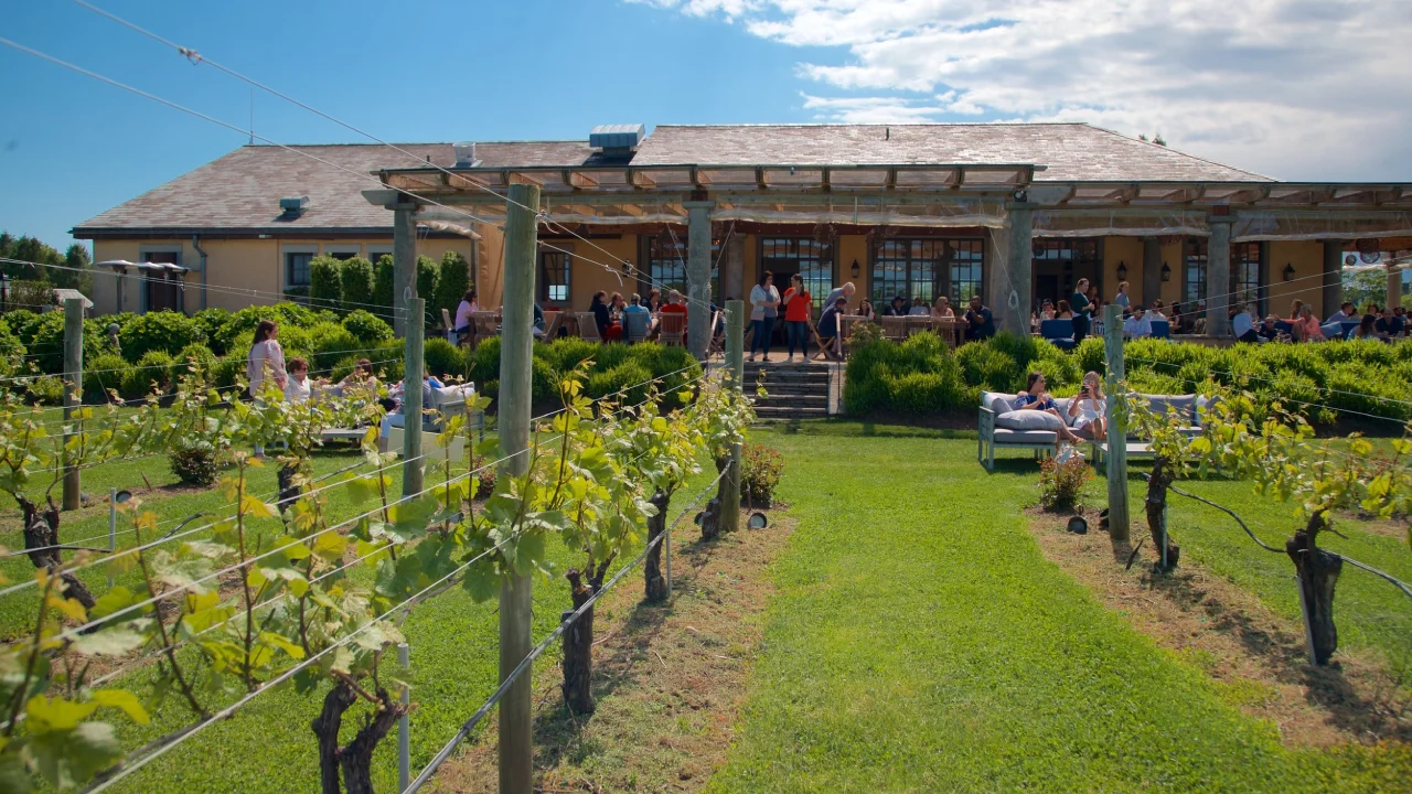 How much does a Hamptons wine tour cost?