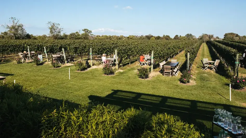 What is the Best Time of Year to Visit Long Island Wineries?
